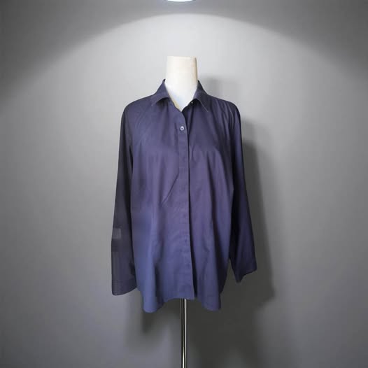 BLUE BUTTON DOWN NO IRON SIZE L