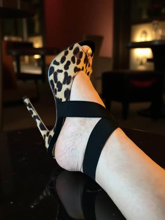 ANIMAL PRINT HEELS SIZE 5.5
