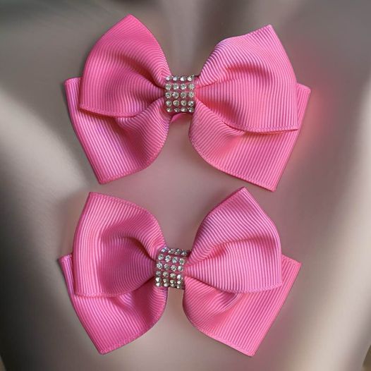 Pair of Hair Bows