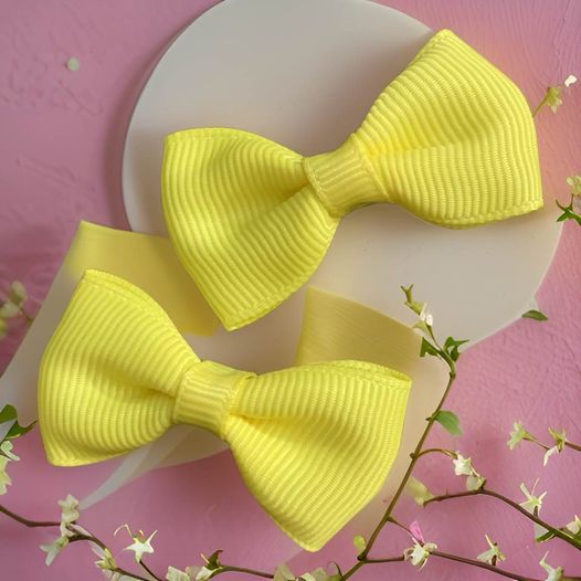 Mini Hair Bows (Pair)