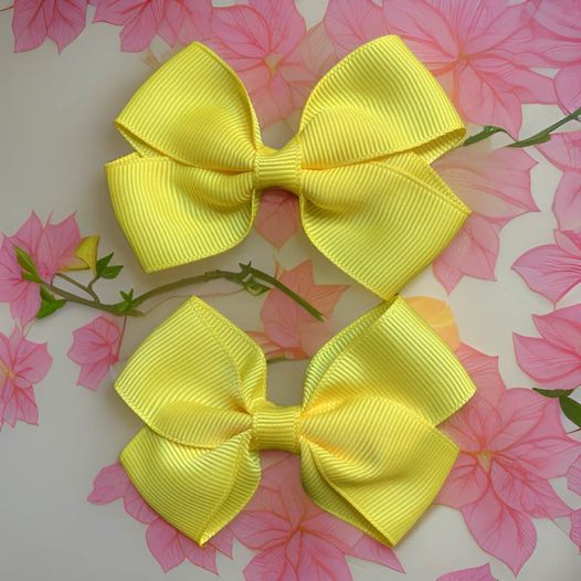 Cute Hair Bows (Pair)