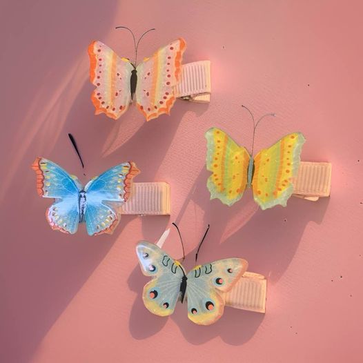 Acrylic Mini Butterfly Hair Clips (Set)