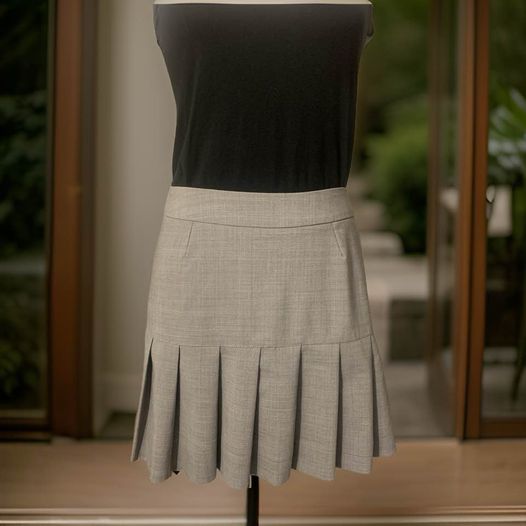 Gray Pleated Skirt