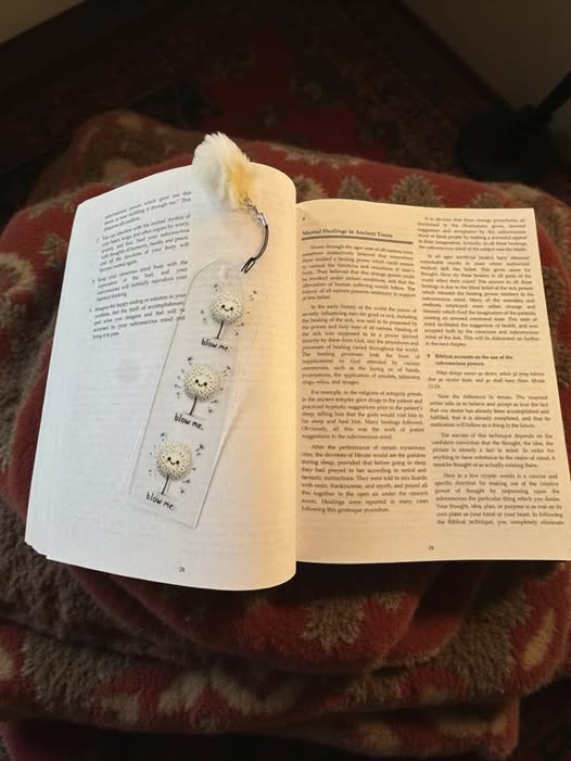 BOOKMARKER "BLOW ME"