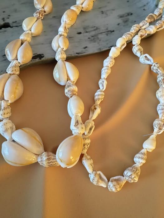 SEASHELL LONG NECKLACE - Beauty&Beyond
