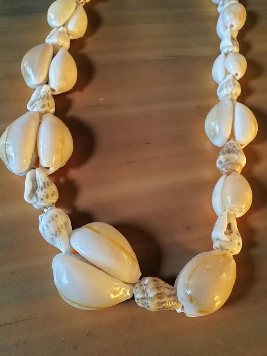 SEASHELL LONG NECKLACE - Beauty&Beyond