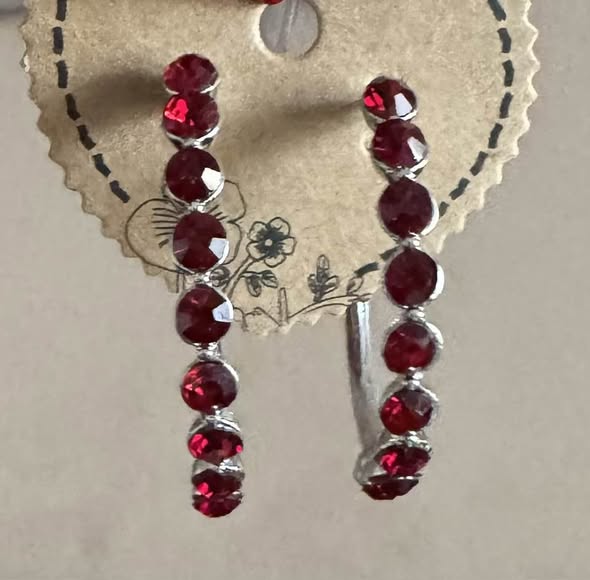 RUBY RED HOOPS